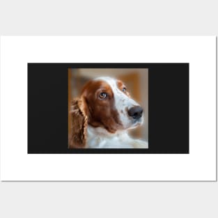 Welsh Springer Spaniel Posters and Art